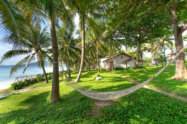 Photographe en montagne: capturer la beauté des paysages français