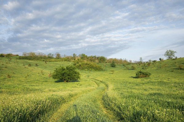 Faire du camping en montagne à petit budget